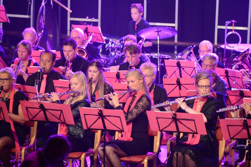 ../Images/Jubileumconcert 100 jaar Harpe Davids 053.jpg